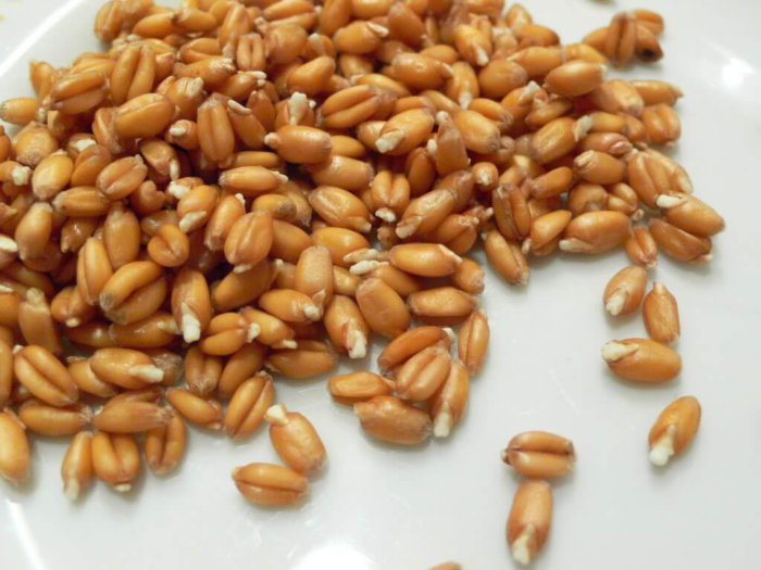 Пропаренная пшеница