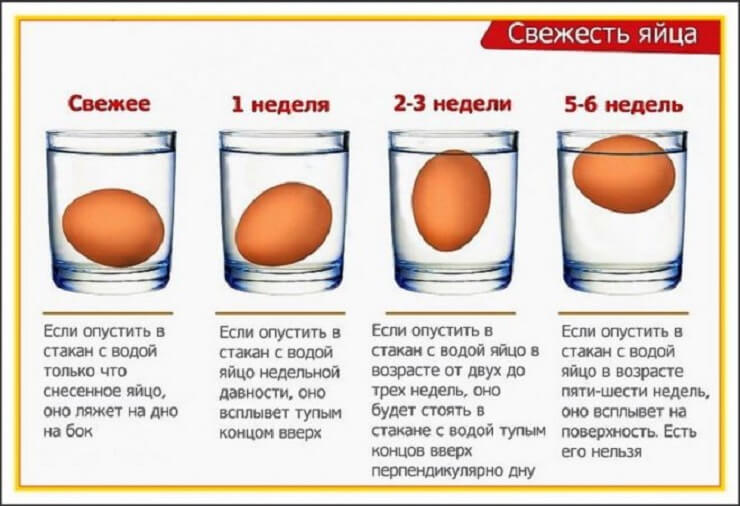 Как проверить свежесть яиц в воде
